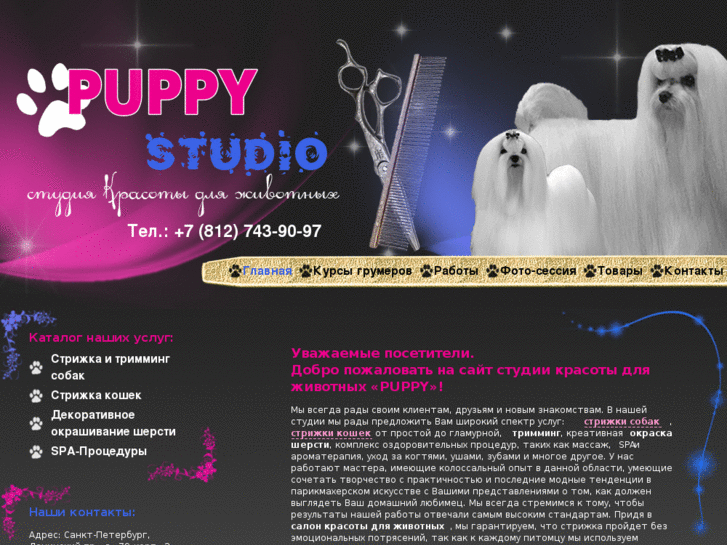 www.puppy-studio.com