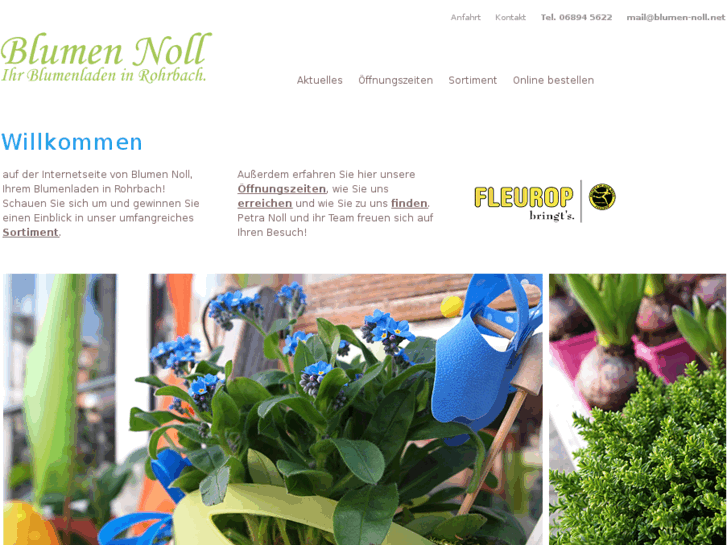 www.blumen-noll.net