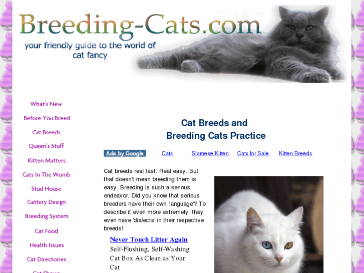 www.breeding-cats.com