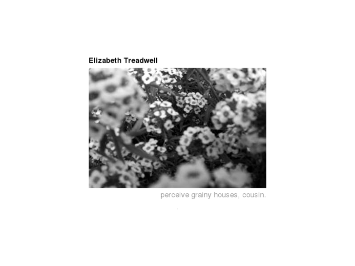 www.elizabethtreadwell.com