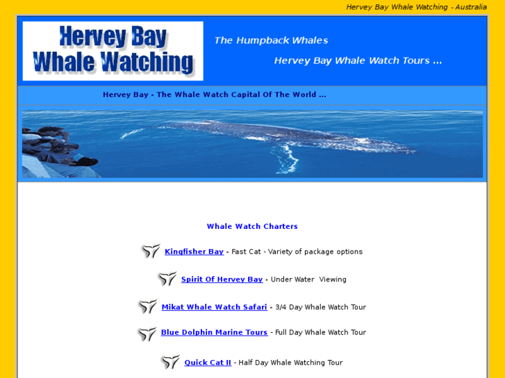 www.herveybaywhalewatching.com