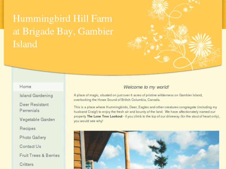 www.hummingbirdhillfarm.net