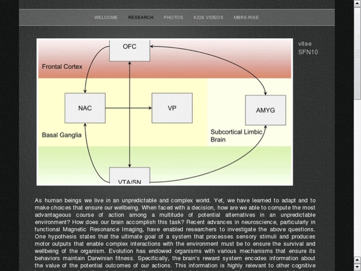 www.neuro-economics.net