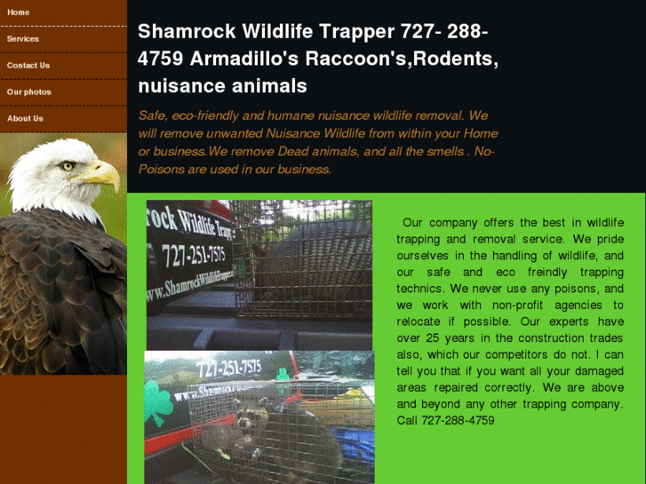 www.shamrockwildlifetrapper.com