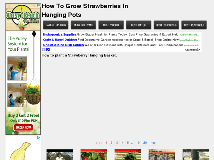 www.strawberriesinhangingpots.com