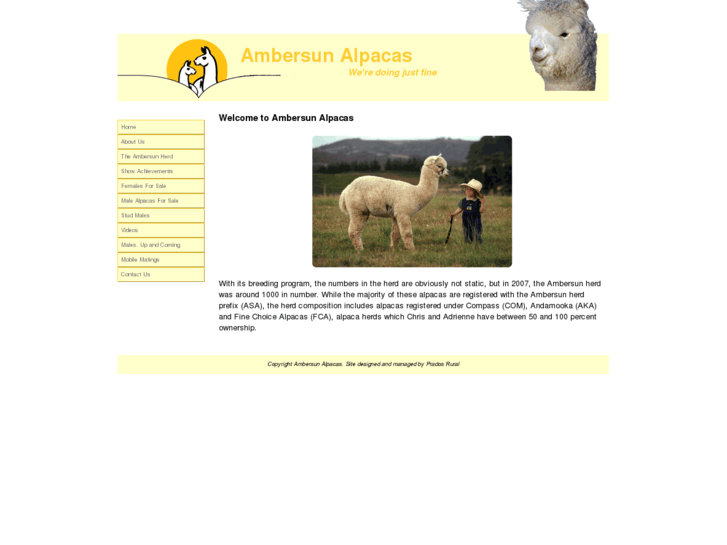 www.ambersunalpacas.com