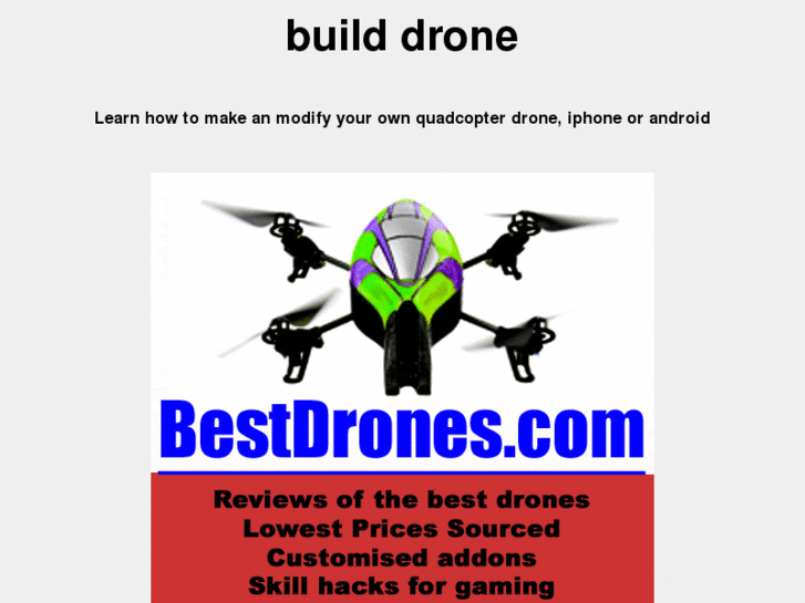 www.builddrone.com