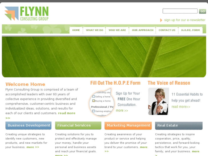 www.flynnconsultinggroup.com