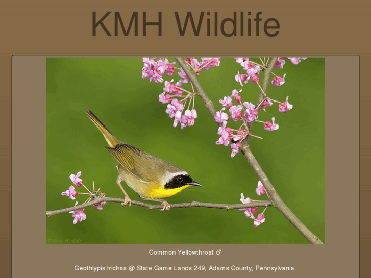 www.kmhwildlife.com