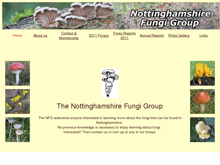 www.nottsfungigroup.org.uk