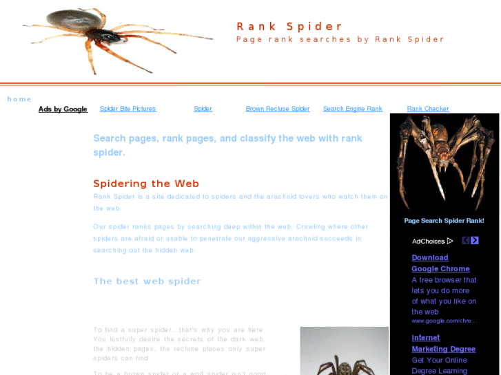 www.rankspider.com