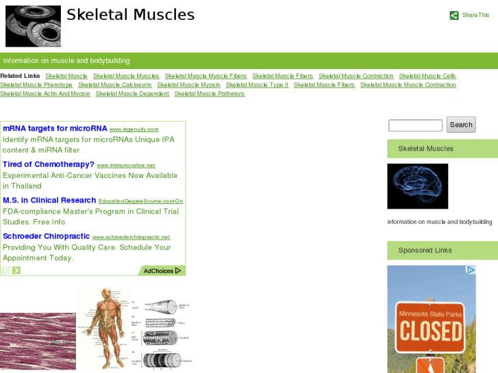 www.skeletalmuscles.net