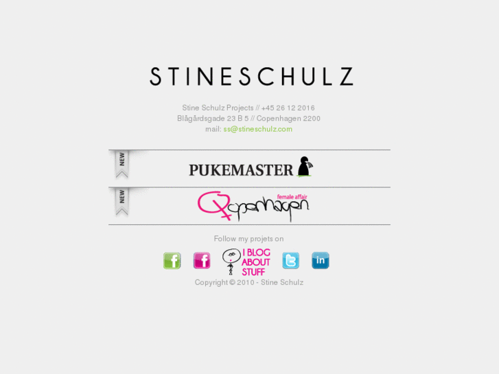 www.stineschulz.com