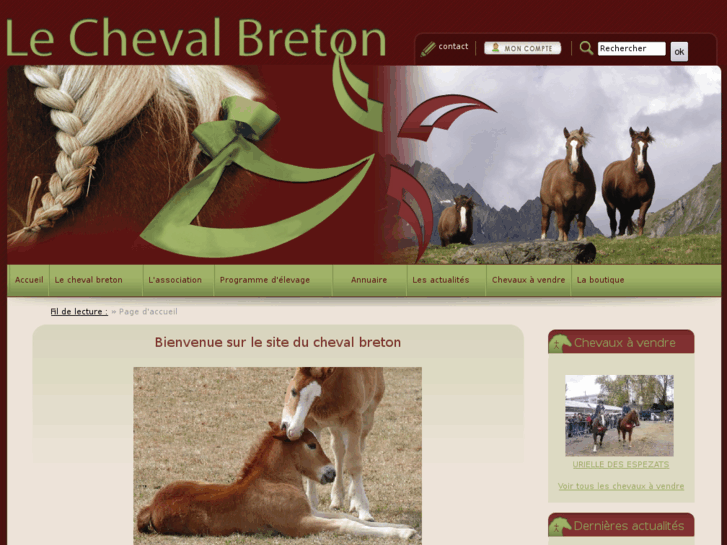 www.cheval-breton.fr