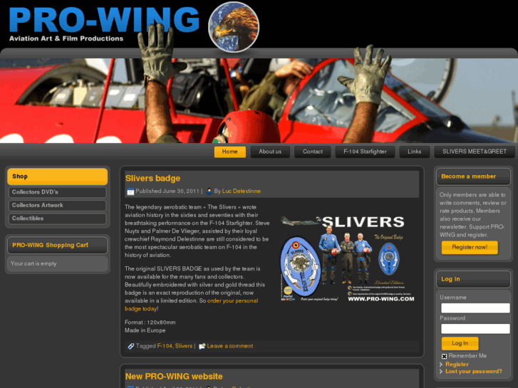 www.pro-wing.com