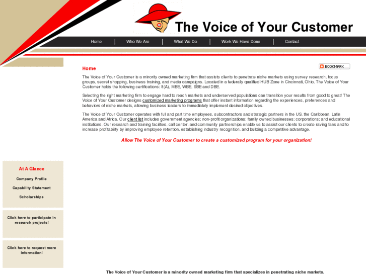 www.thevoiceofyourcustomer.com