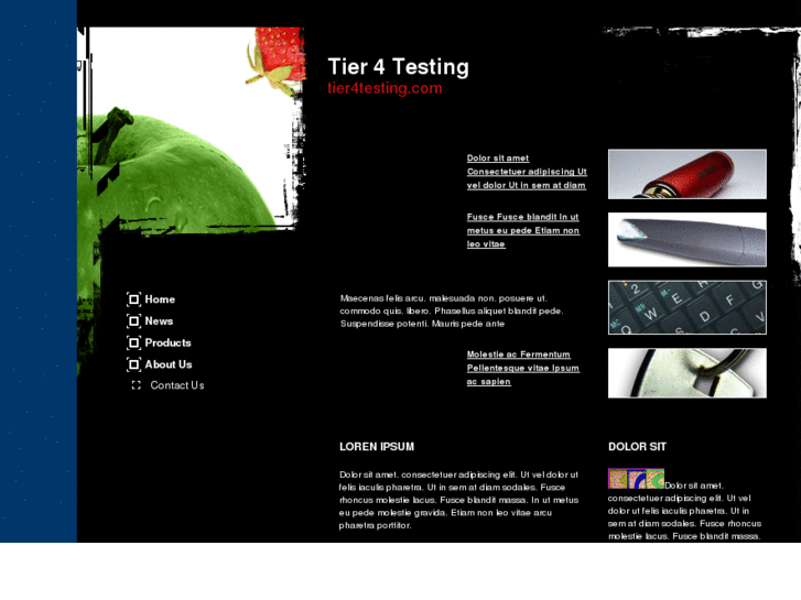 www.tier4testing.com