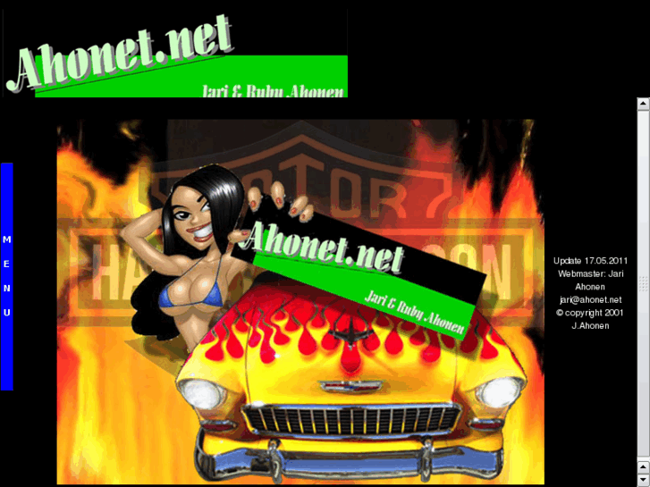 www.ahonet.net