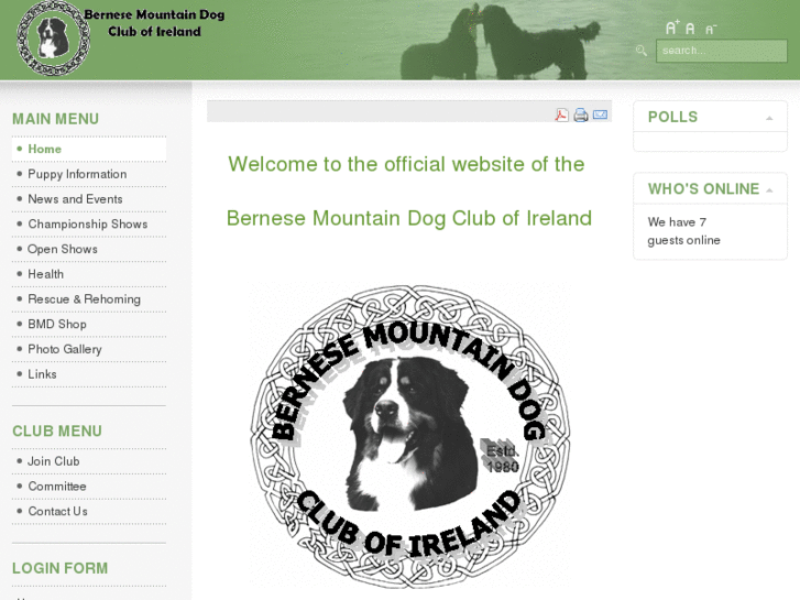 www.berneseireland.com