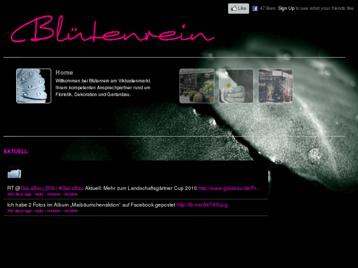 www.bluetenrein.com