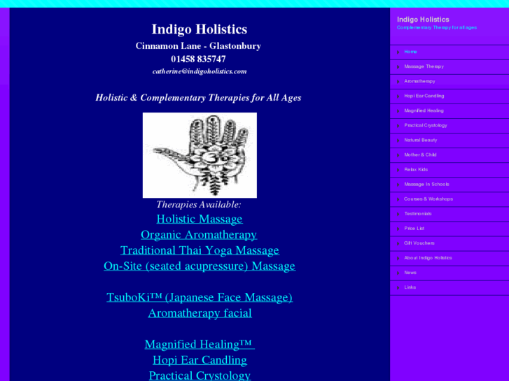 www.indigoholistics.com