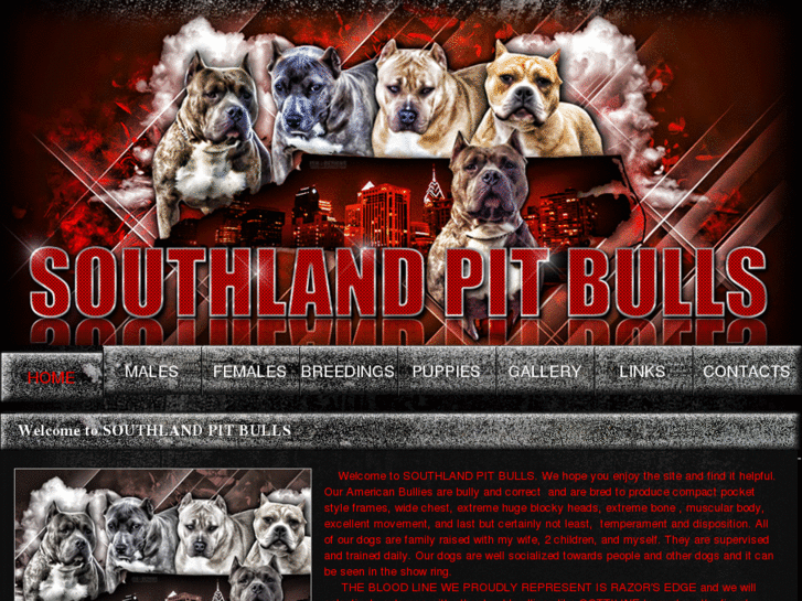 www.southlandpitbulls.com