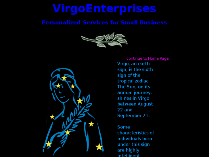 www.virgoenterprises.com