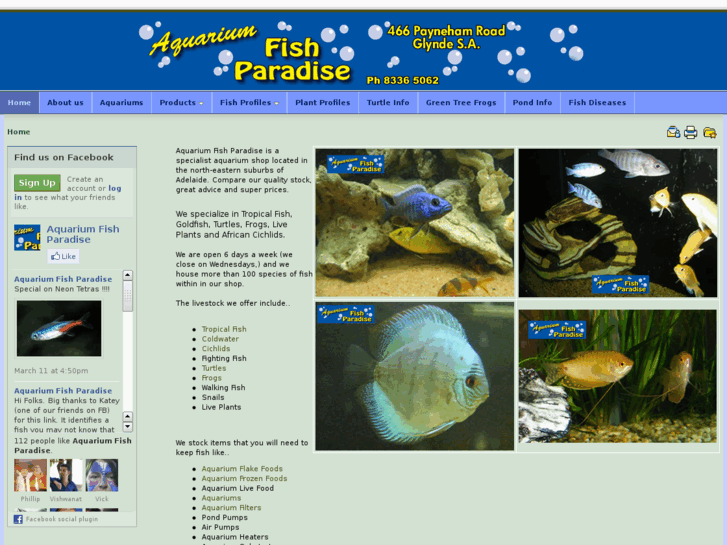 www.aquariumfishparadise.com.au