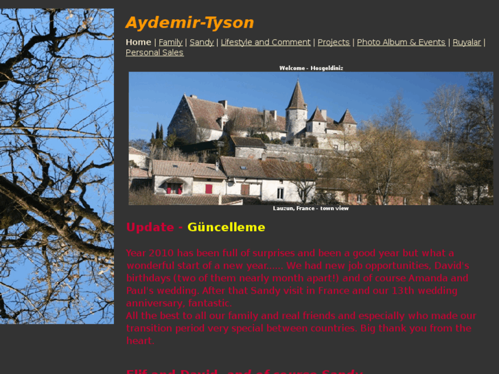 www.aydemir-tyson.com