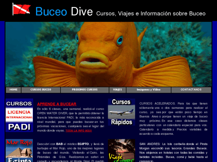 www.buceo-dive.com