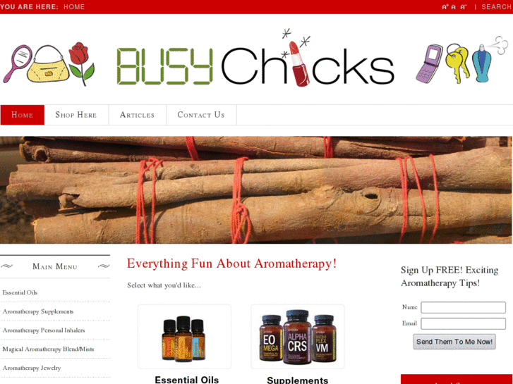 www.busychicksclub.com