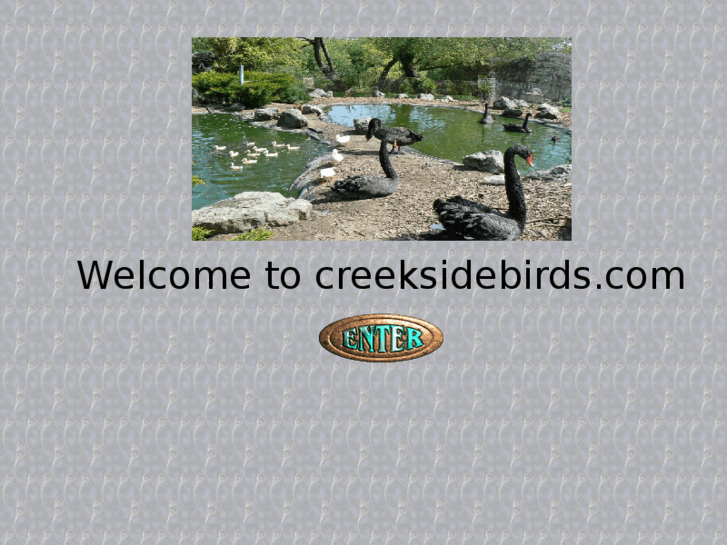 www.creeksidebirds.com