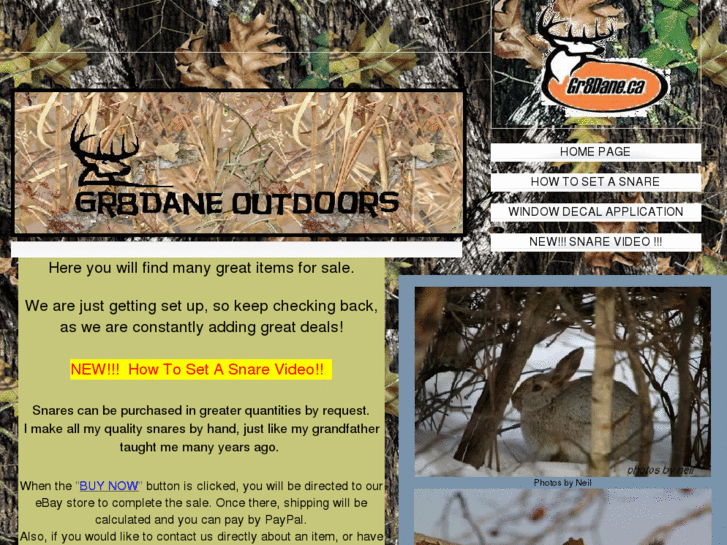 www.gr8daneoutdoors.com