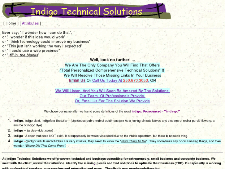 www.indigotechnicalsolutions.com