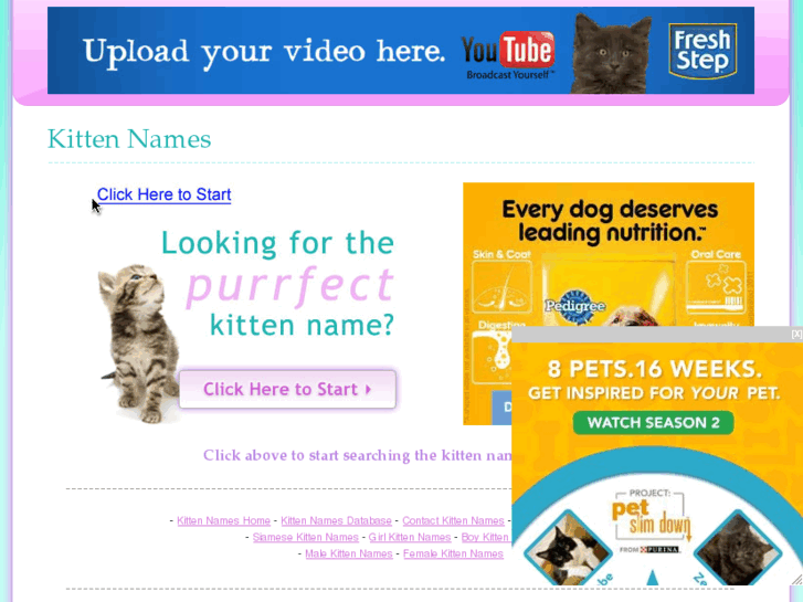 www.kitten-names.com