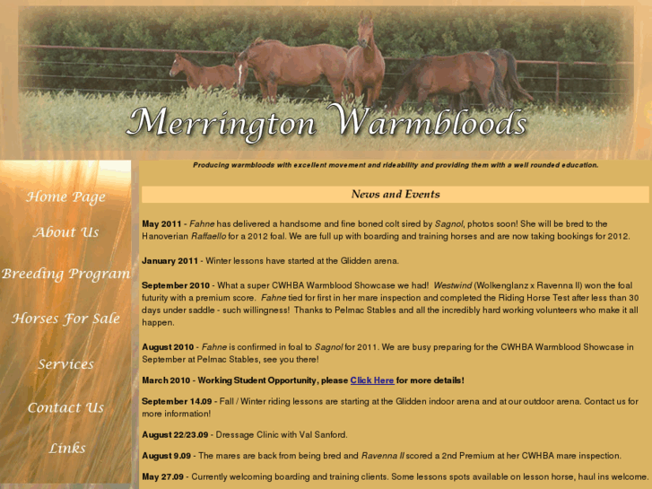 www.merringtonwarmbloods.ca