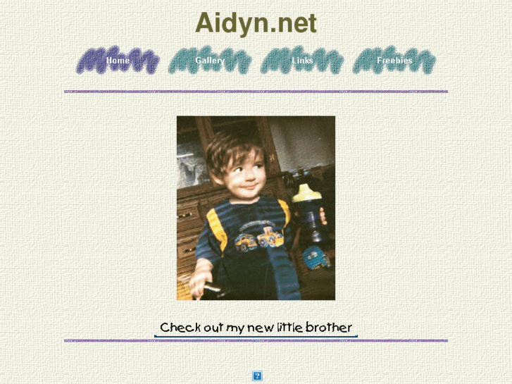www.aidyn.net