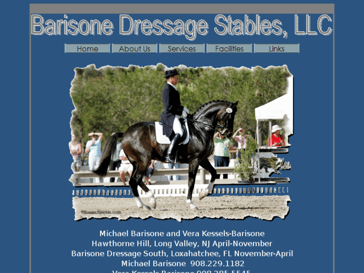 www.barisonedressage.com