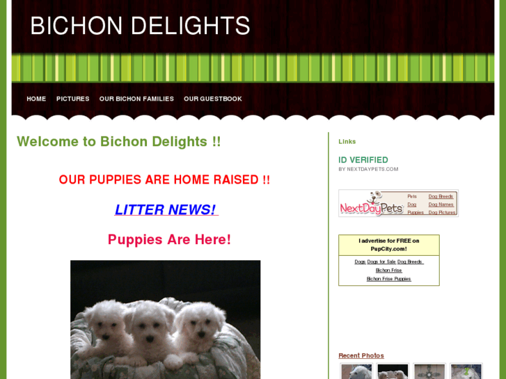 www.bichondelights.com