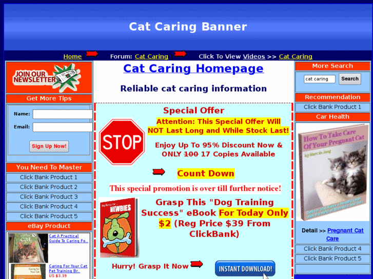 www.catcaringforsuccess.com