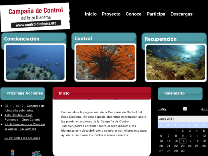 www.controldiadema.org