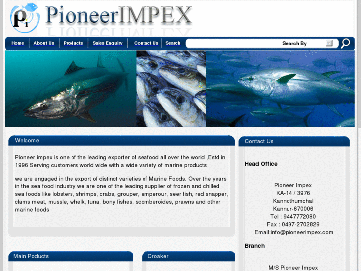 www.pioneerimpex.com