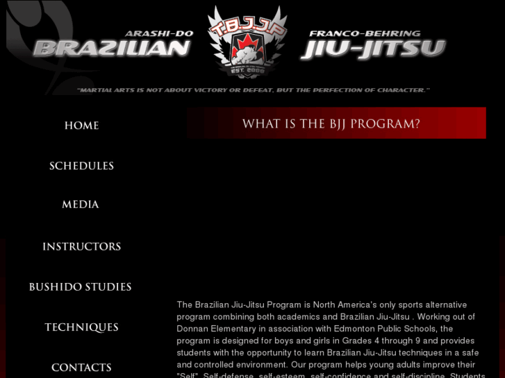 www.thebjjprogram.com