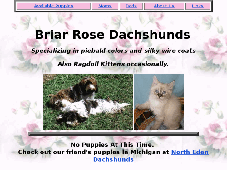 www.briarrosedachshunds.com