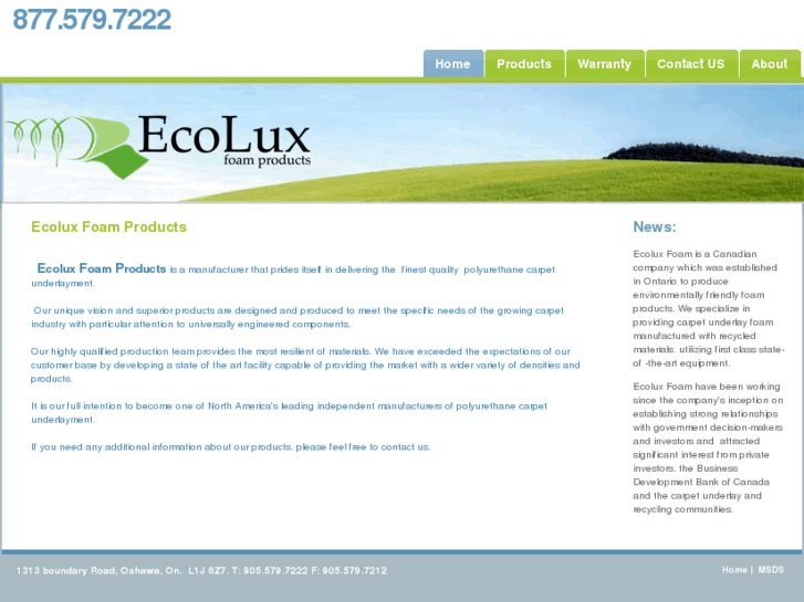 www.ecoluxfoam.com