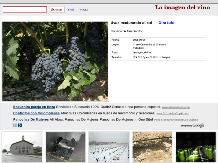 www.laimagendelvino.com