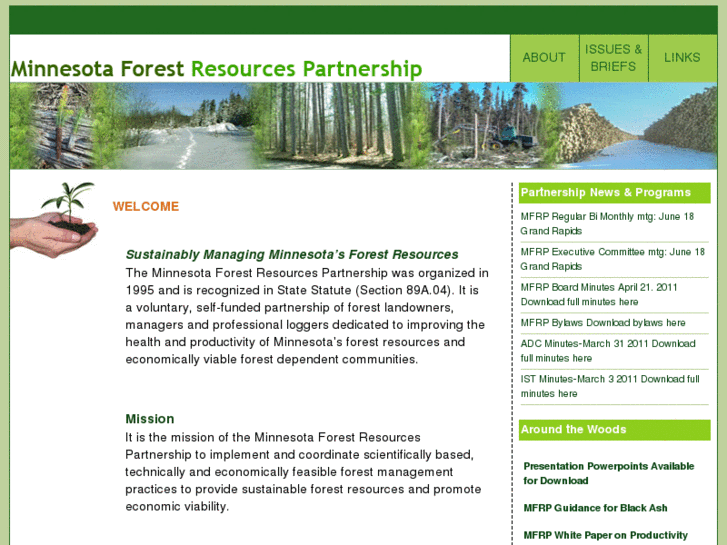 www.mnforestpartnership.com