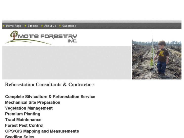 www.moteforestry.com