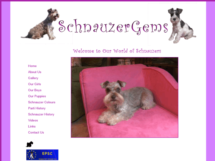 www.schnauzergems.com