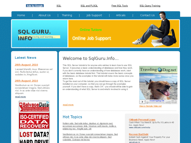www.sqlguru.info